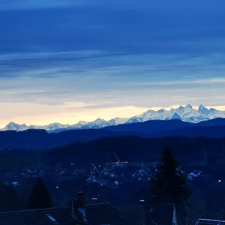 Steinen Alpenpanorama Haegelberg公寓 外观 照片