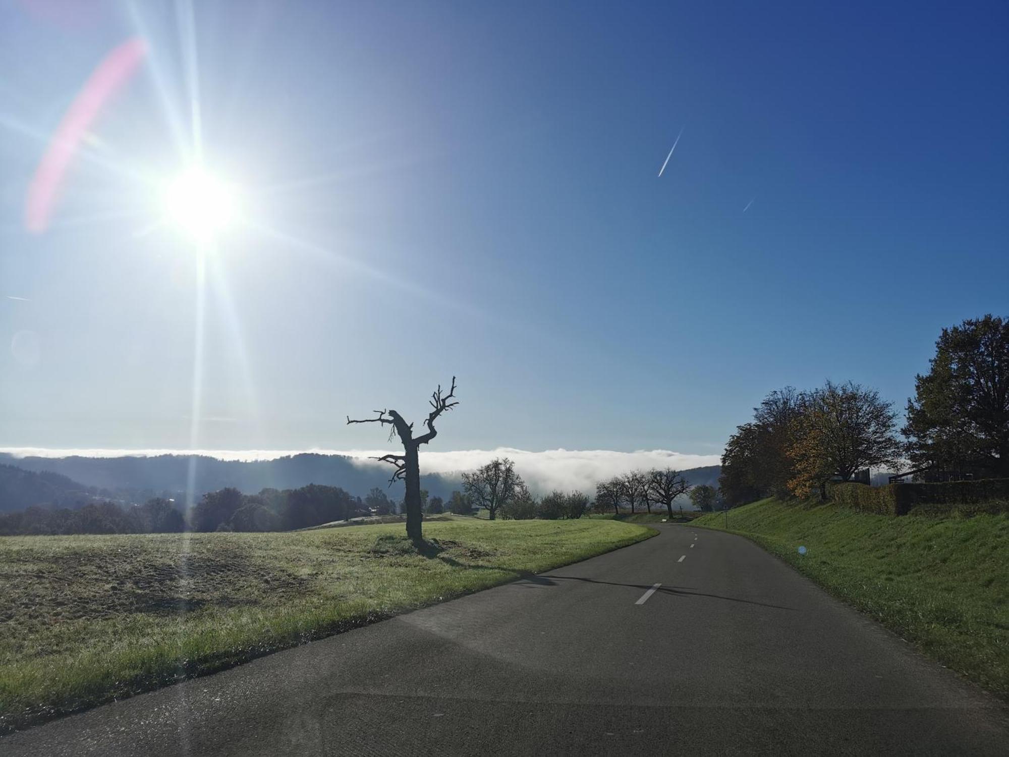 Steinen Alpenpanorama Haegelberg公寓 外观 照片